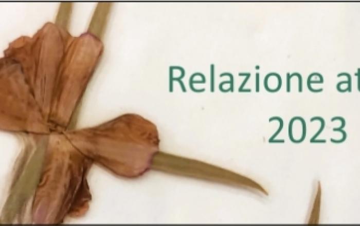 Relazione Attività 2023