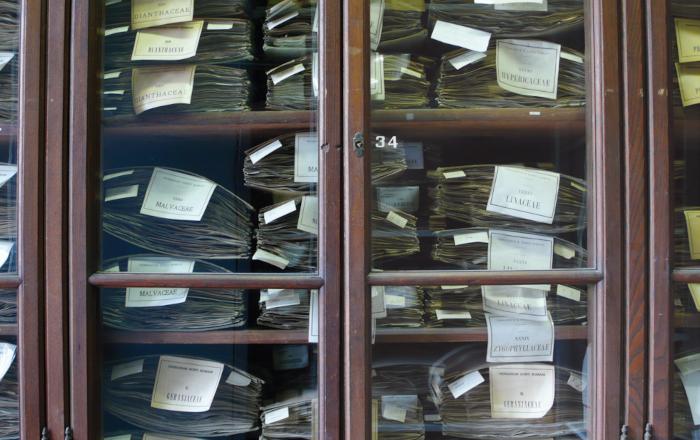 Digitalizzazione massiva Museo Erbario Sapienza