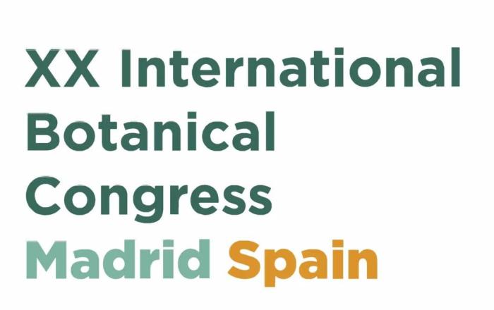 The Nomenclature Section of the XX International Botanical Congress