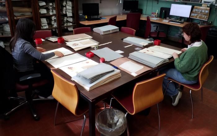 Collaborative scholarships started at Herbarium Museum
